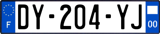 DY-204-YJ