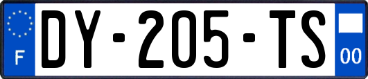 DY-205-TS