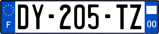 DY-205-TZ