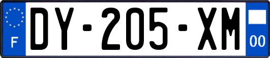 DY-205-XM