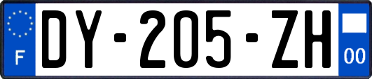 DY-205-ZH