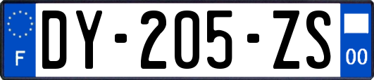 DY-205-ZS