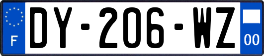 DY-206-WZ