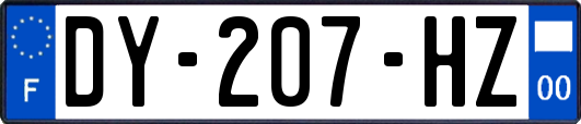 DY-207-HZ