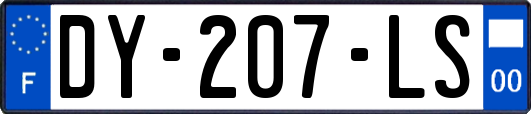 DY-207-LS