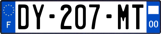 DY-207-MT