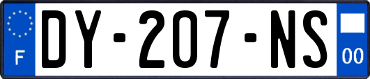 DY-207-NS