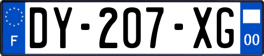 DY-207-XG