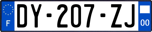 DY-207-ZJ