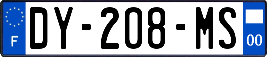 DY-208-MS