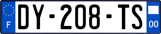 DY-208-TS