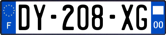 DY-208-XG