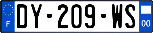 DY-209-WS