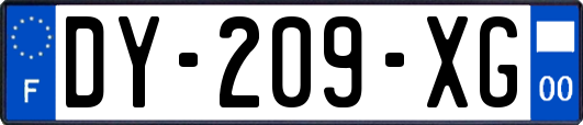 DY-209-XG