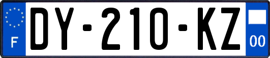 DY-210-KZ