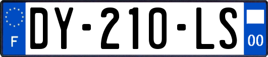 DY-210-LS