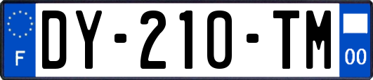 DY-210-TM