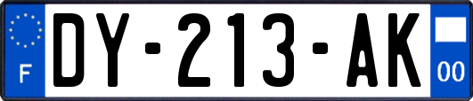 DY-213-AK