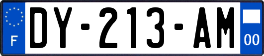 DY-213-AM