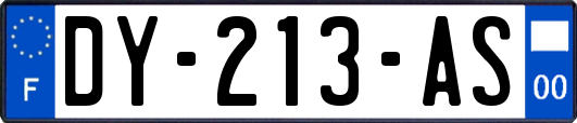 DY-213-AS