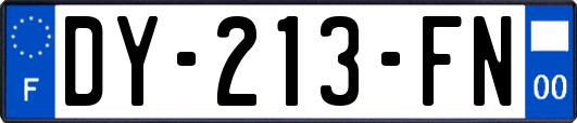 DY-213-FN