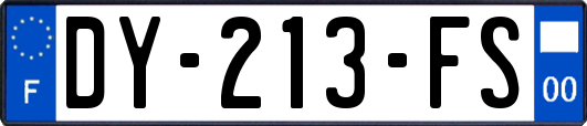 DY-213-FS