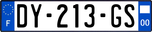 DY-213-GS