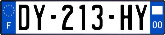 DY-213-HY