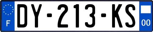 DY-213-KS