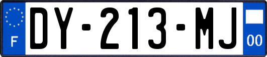 DY-213-MJ