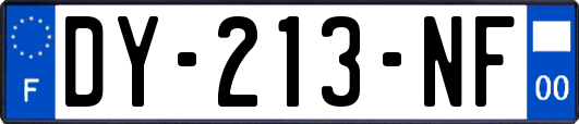 DY-213-NF
