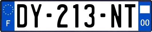 DY-213-NT