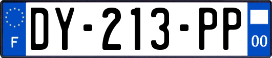 DY-213-PP