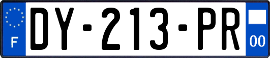 DY-213-PR