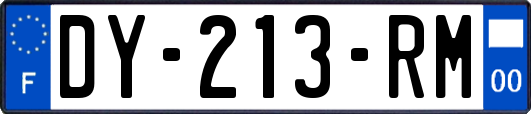 DY-213-RM