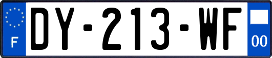 DY-213-WF