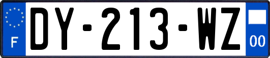 DY-213-WZ