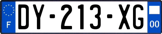 DY-213-XG