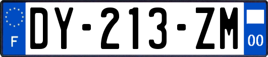 DY-213-ZM