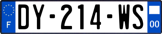 DY-214-WS