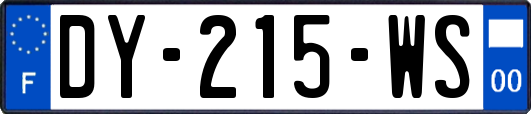 DY-215-WS