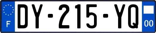 DY-215-YQ