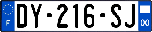 DY-216-SJ