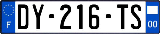 DY-216-TS