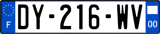 DY-216-WV