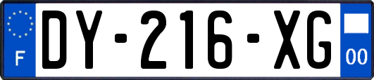 DY-216-XG