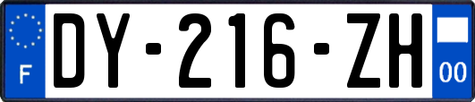 DY-216-ZH