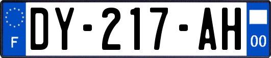 DY-217-AH