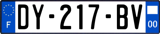 DY-217-BV