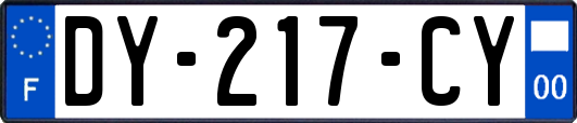 DY-217-CY